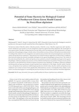 Potential of Some Bacteria for Biological Control of Postharvest Citrus Green Mould Caused by Penicillium Digitatum