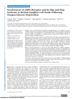 Involvement of AMPA Receptor and Its Flip and Flop Isoforms in Retinal Ganglion Cell Death Following Oxygen/Glucose Deprivation