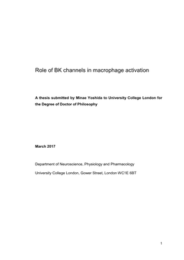 Role of BK Channels in Macrophage Activation