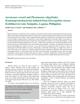 Aeromonas Veronii and Plesiomonas Shigelloides (Gammaproteobacteria) Isolated from Glossogobius Aureus (Gobiidae) in Lake Sampaloc, Laguna, Philippines