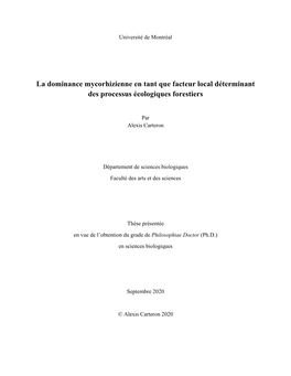 La Dominance Mycorhizienne En Tant Que Facteur Local Déterminant Des Processus Écologiques Forestiers