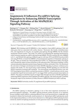 Angiotensin II Influences Pre-Mrna Splicing Regulation by Enhancing