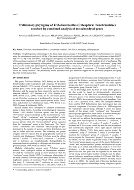 Preliminary Phylogeny of Tribolium Beetles (Coleoptera: Tenebrionidae) Resolved by Combined Analysis of Mitochondrial Genes