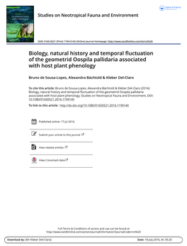 Biology, Natural History and Temporal Fluctuation of the Geometrid Oospila Pallidaria Associated with Host Plant Phenology