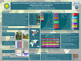 Frawley Poster (NHRE 2016)