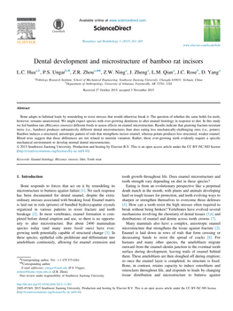 Dental Development and Microstructure of Bamboo Rat Incisors