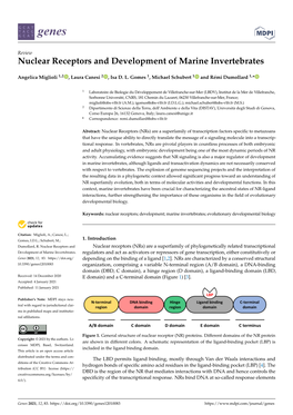 Nuclear Receptors and Development of Marine Invertebrates Angelica Miglioli 1,2, Laura Canesi 2, Isa D