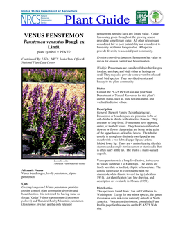 VENUS PENSTEMON Leaves Stay Green Throughout the Growing Season Providing Some Forage Value