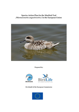 Species Action Plan for the Marbled Teal /Marmaronetta Angustirostris / in the European Union