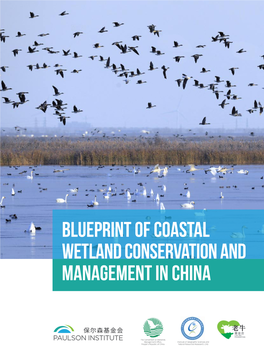 Blueprint of Coastal Wetland Conservation and Management in China
