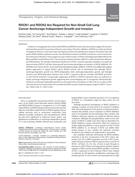 ROCK1 and ROCK2 Are Required for Non-Small Cell Lung Cancer Anchorage-Independent Growth and Invasion