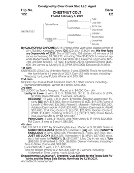 CHESTNUT COLT Barn E2 Hip No