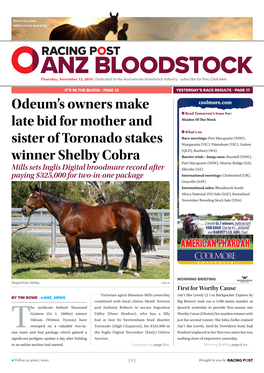 Odeum's Owners Make Late Bid for Mother and Sister of Toronado