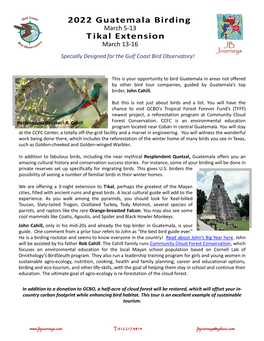 2022 Guatemala Birding Tikal Extension