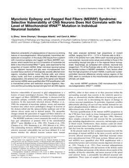 Myoclonic Epilepsy and Ragged Red Fibers (MERRF) Syndrome