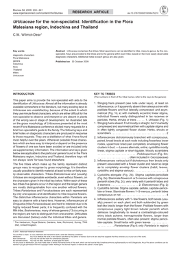 Identification in the Flora Malesiana Region, Indochina and Thailand