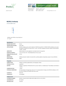 NEURL2 Antibody