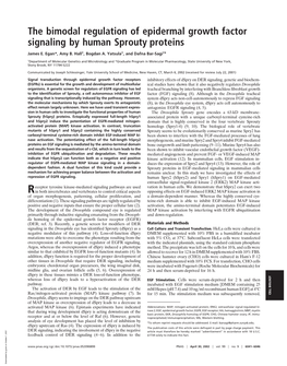 The Bimodal Regulation of Epidermal Growth Factor Signaling by Human Sprouty Proteins