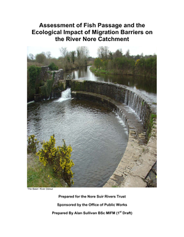 Assessment of Fish Passage and the Ecological Impact of Migration Barriers on the River Nore Catchment