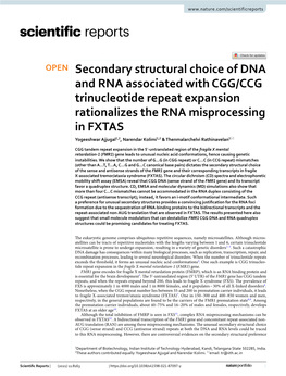 Secondary Structural Choice of DNA and RNA Associated with CGG