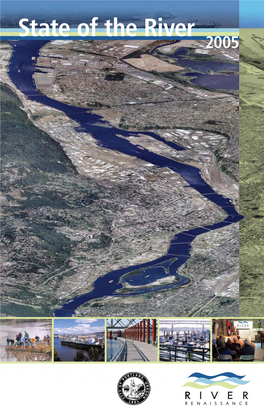 State of the River 2005 River Renaissance in Action: a Smarter Approach to River Revitalization