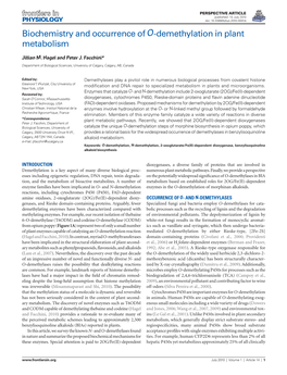 Biochemistry and Occurrence of O-Demethylation in Plant Metabolism