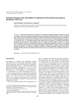 Dynamic Changes in the Subcellular Localization of Drosophila Β-Sarcoglycan During the Cell Cycle