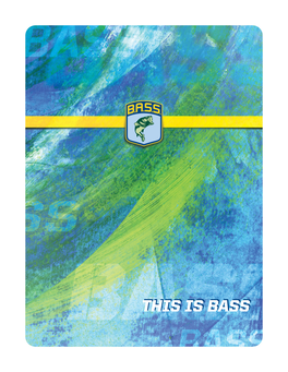 This Is Bass