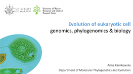 Evolution of Eukaryotic Cell Genomics, Phylogenomics & Biology