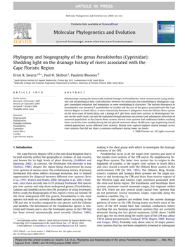 Phylogeny and Biogeography of the Genus Pseudobarbus (Cyprinidae): Shedding Light on the Drainage History of Rivers Associated with the Cape Floristic Region