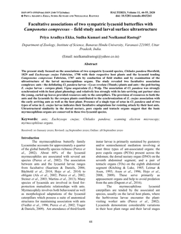 Facultative Associations of Two Sympatric Lycaenid Butterflies with Camponotus Compressus – Field Study and Larval Surface Ultrastructure