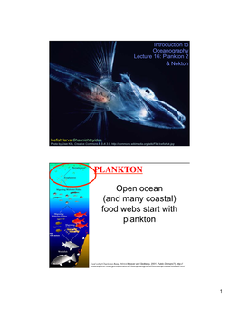 Open Ocean (And Many Coastal) Food Webs Start with Plankton PLANKTON