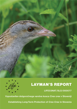 Layman's Report