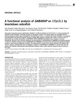 A Functional Analysis of GABARAP on 17P13.1 by Knockdown Zebrafish