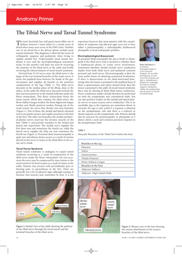 The Tibial Nerve and Tarsal Tunnel Syndrome