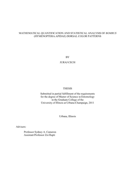 Mathematical Quantification and Statistical Analysis of Bombus (Hymenoptera:Apidae) Dorsal Color Patterns