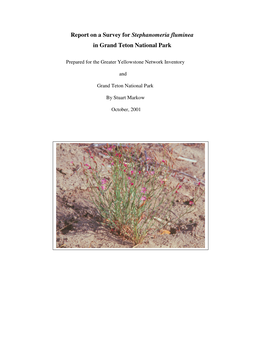 Report on a Survey for Stephanomeria Fluminea in Grand Teton National Park