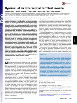 Dynamics of an Experimental Microbial Invasion