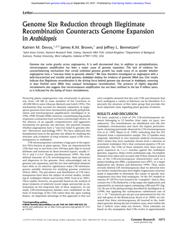 Genome Size Reduction Through Illegitimate Recombination Counteracts Genome Expansion in Arabidopsis