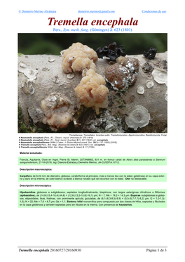 Tremella Encephala