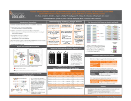 Genome Filtering Identifies Species-Specific DNA Biomarkers