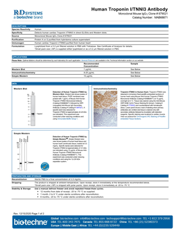 Human Troponin I/TNNI3 Antibody