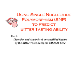 1.Ptii.Snps and TAS2R38.V3