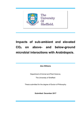 And Below-Ground Microbial Interactions with Arabidopsis