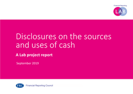 Disclosures on the Sources and Uses of Cash a Lab Project Report