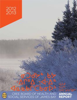 CBHSSJB Annual Report 2012-2013
