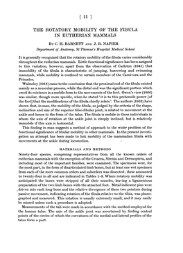 The Rotatory Mobility of the Fibula in Eutherian Mammals by C