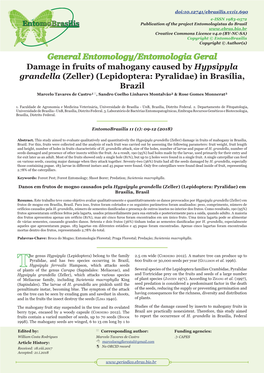 Damage in Fruits of Mahogany Caused by Hypsipyla Grandella (Zeller) (Lepidoptera: Pyralidae) in Brasília, Brazil