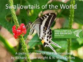 Swallowtails of the World