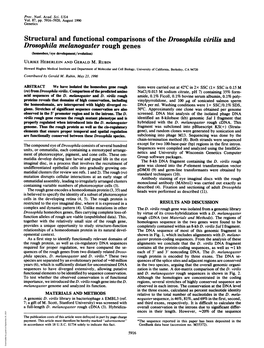 Structural and Functional Comparisons of the Drosophila Virilis And